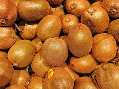 -浦江城市生活广场(江月路店)