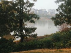 -枫香湖儿童公园