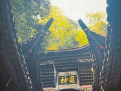 -青城山