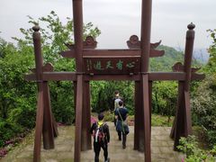 -杭州半山国家森林公园