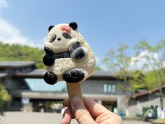 -都江堰中华大熊猫苑