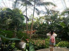 -北京植物园-展览温室