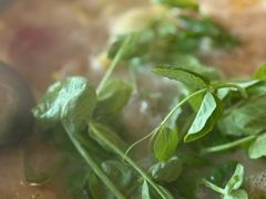 -麒麟豆汤圆子火锅(川心小区店)