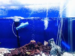 -MOJO密室逃脱(中街旗舰店)