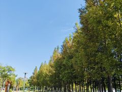 -桃花岛公园