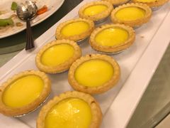 酥皮鸡蛋挞-金城大酒店-中餐厅(汾江中路店)