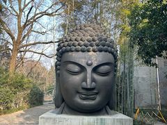 -杭州植物园