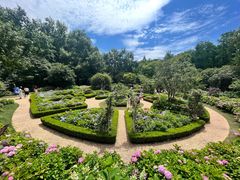 -上海共青森林公园