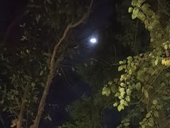 -湖泉半山温泉(湖泉生态园)