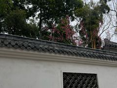 -墨池公园