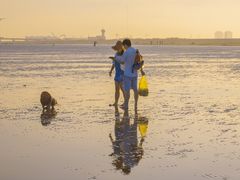 -南汇嘴观海公园