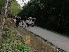 -田野绿世界