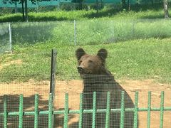 -秦皇岛野生动物园