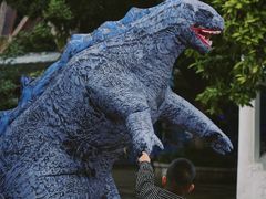 -南湖梦幻岛