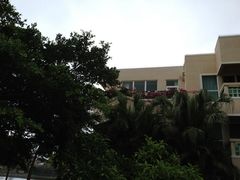 酒店-三亚亚龙湾凯莱仙人掌度假酒店