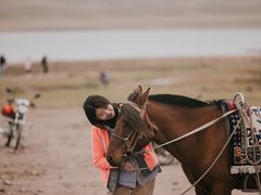 -山丹皇家马场