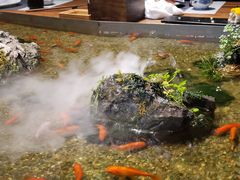 -森味薪火烧•烧鸟居酒屋•日本料理(望京店)