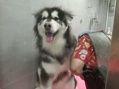 -宠福鑫康馨动物医院·骨科·眼科