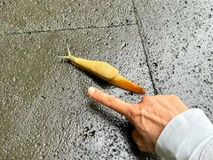 -和顺古镇