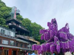 -老君山风景名胜区