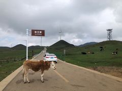 -乌蒙大草原