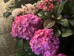 -花二家·生活馆(六运小区店)