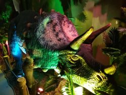 -恐龙探索乐园(磁器口店)