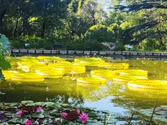 -国家植物园南园