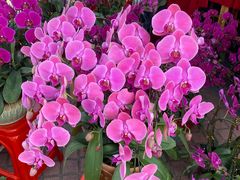 -珠海市体育中心-游泳馆