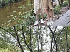 -牛背梁国家森林公园