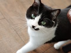 -路易时光(蕴川路店)