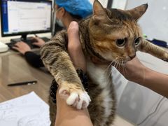 -荔康动物医院(康王北路店)