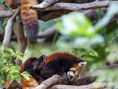 -Galleria百货店名品馆