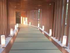 -重庆南山海昌汤都