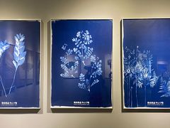 -独秀书房(出版大厦店)