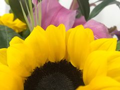 -弗劳尔花艺坊(龙涛店)