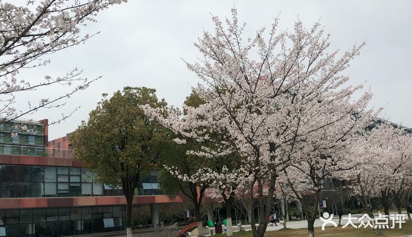 苏州园区独墅湖西交利物浦大学