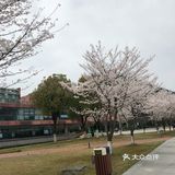 苏州园区独墅湖西交利物浦大学