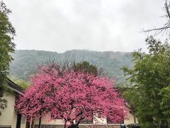 -兰亭风景区