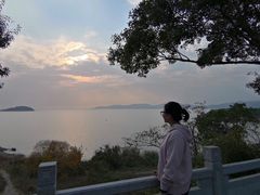 -上海市保健医疗中心