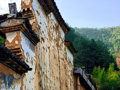 -杨家堂村
