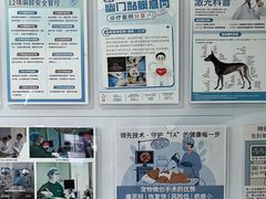-北京观赏动物医院·24小时大型综合·猫专科·异宠专科