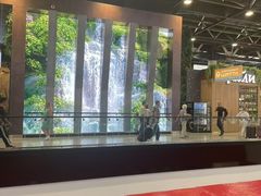-谢列梅捷沃国际机场