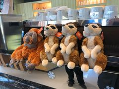 -ZOO COFFEE动物园咖啡(望京锐创店)