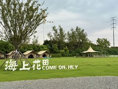 -杭州湾海上花田景区