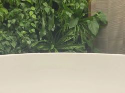 -VELEE·SPA高定疗愈会所
