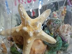 -利群商厦(台东店)