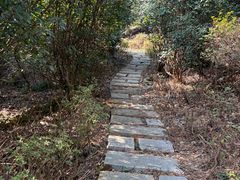 -桃花岭景区