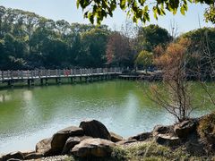 -白马涧龙池景区