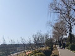 -洨河生态公园